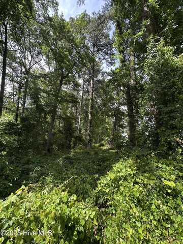 403 Longwood Drive, Pinetops, NC 27864