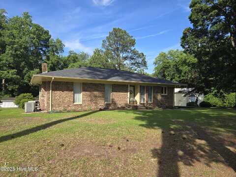 1141 Mill Inn Road, Williamston, NC 27892