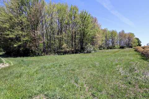 Vl Benny Ct (All Parcels), Grand Junction, MI 49056