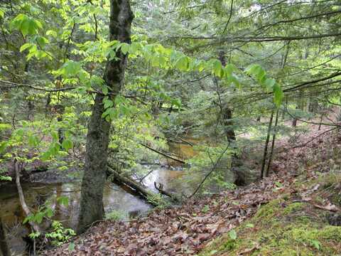V/L E Filburn Road, Branch, MI 49402