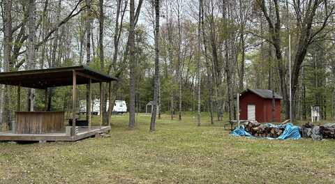 722 W 4 Mile Road, Luther, MI 49656