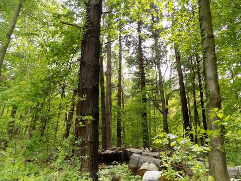 3218 Chestnut Avenue, Coloma, MI 49038
