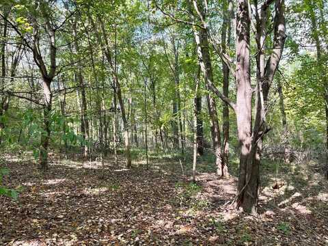 7500 Conservation NE, Ada, MI 49301