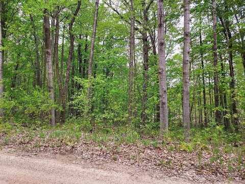 00 Buck Lane, Harrison, MI 48625