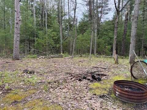 0 N 21 Road, Mesick, MI 49668
