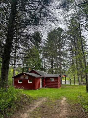 3151 Anderson Road, Luther, MI 49656