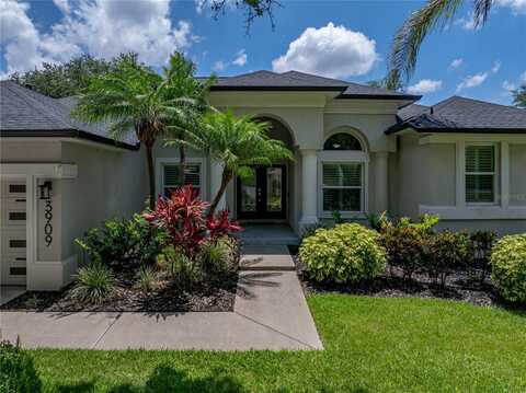 3909 VALRICO GROVE DRIVE, VALRICO, FL 33594