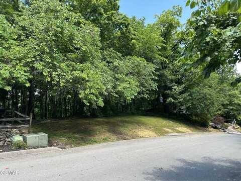 Lot 3 Oak Haven Way, Sevierville, TN 37876