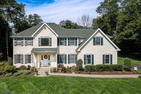 1 Arrow Ct, Mount Olive Twp., NJ 07836