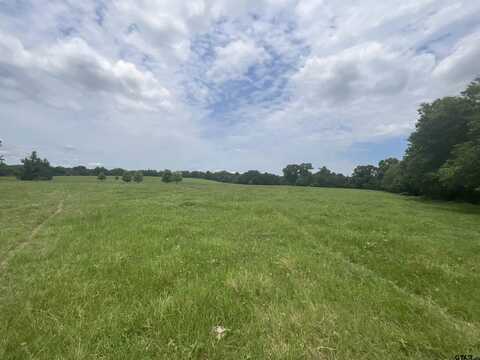 TBD CR 2314, Pittsburg, TX 75686