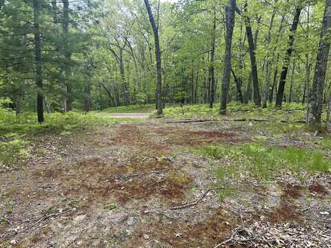 9846 W Oxpath, Baldwin, MI 49304