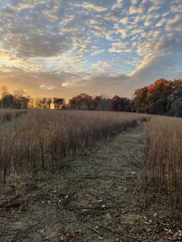 0 Springport Road, Springport, MI 49284