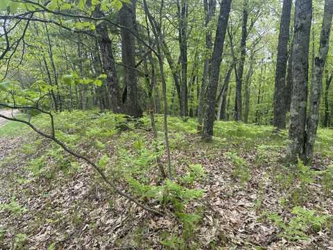 00 Oxpath, Baldwin, MI 49304