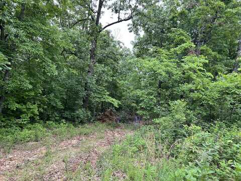 000 Wateroak Lane, Mammoth Spring, AR 72554