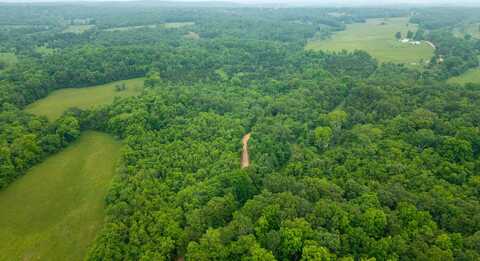 1529 County Road 102, Alton, MO 65606