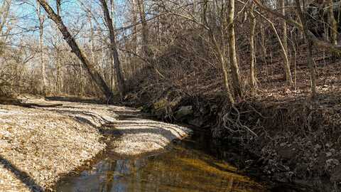 Tbd State Hwy Jj, Sparta, MO 65753