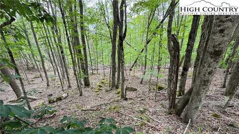 206 Wild Daisy Lane, Beech Mountain, NC 28604