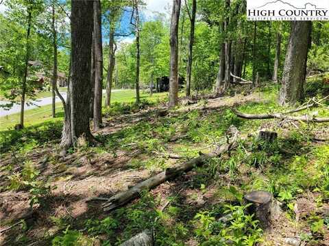 Lot 9 High Hemlock Trail, Blowing Rock, NC 28605