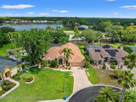 9161 Southern Comfort Court, Weeki Wachee, FL 34613