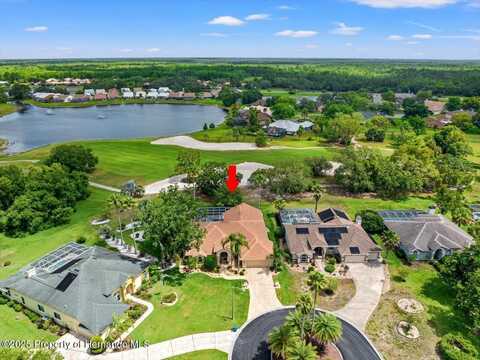 9161 Southern Comfort Court, Weeki Wachee, FL 34613