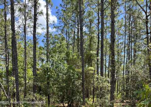 0 Celeste {LOT6} Avenue, Weeki Wachee, FL 34614