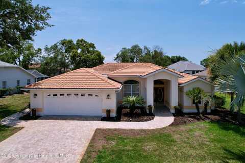 8420 Maybelle Drive, Weeki Wachee, FL 34613