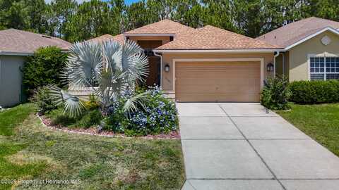 10181 Holly Berry Drive, Weeki Wachee, FL 34613