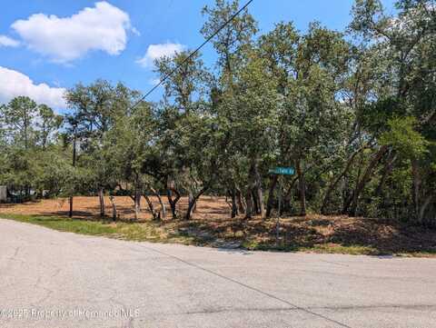 0 Merlin Circle, Ridge Manor, FL 33523