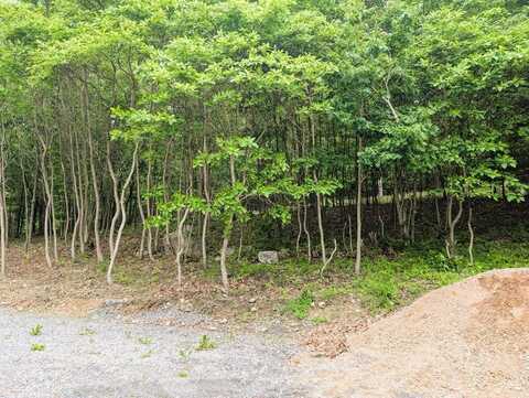 23165 Fort Littleton Road, Orbisonia, PA 17243