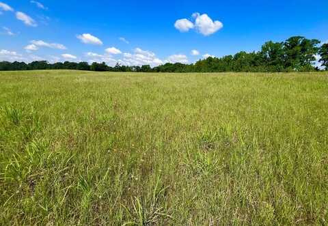 Lot 366 CR 3907, Athens, TX 75752