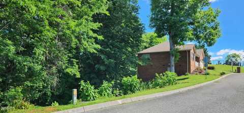 Lot 9 Maggie Mack Ln, Sevierville, TN 37862