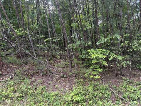 0 Pleasant Valley Road, Cosby, TN 37722