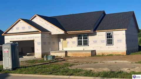 111 Blatina Drive, Vine Grove, KY 40175