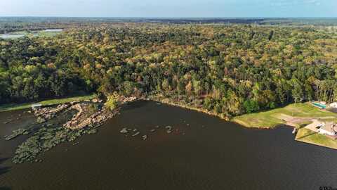 TBD FM 3122, Mount Vernon, TX 75457