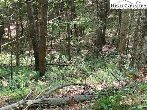Lots 55 & 57 Meadow Crest Drive, Jefferson, NC 28640