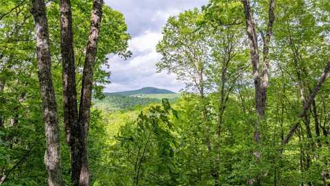 16 Receptive Drive, Glenville, NC 28736