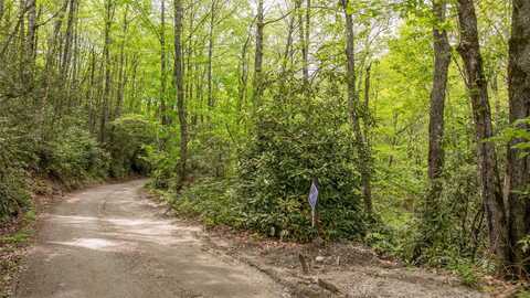 30 Eucalyptus Drive, Glenville, NC 28736