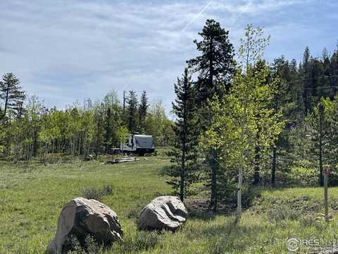 22 Tami Rd, Red Feather Lakes, CO 80545