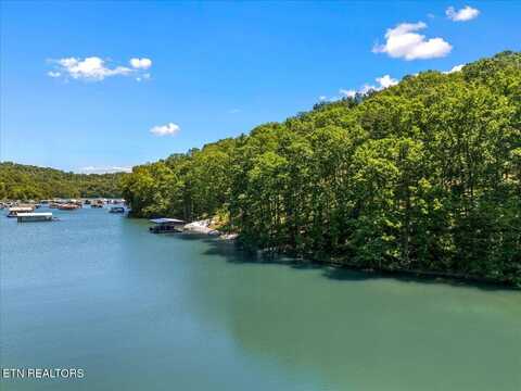 Lot 6 Shanghai Landing Lane, La Follette, TN 37766