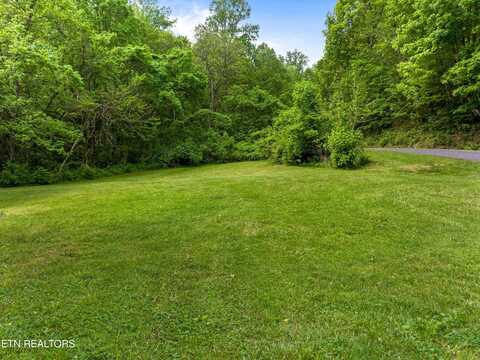 Tract 4 Sandy Valley Rd, Rogersville, TN 37857