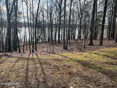 E Shore lot 117 Drive, Rockwood, TN 37854
