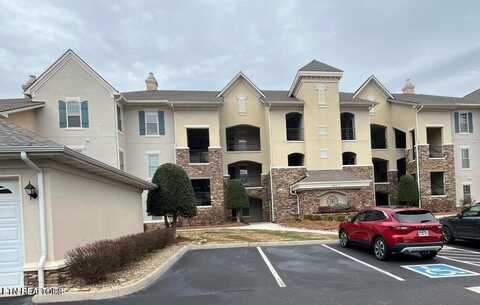565 Rarity Bay Pkwy, Vonore, TN 37885
