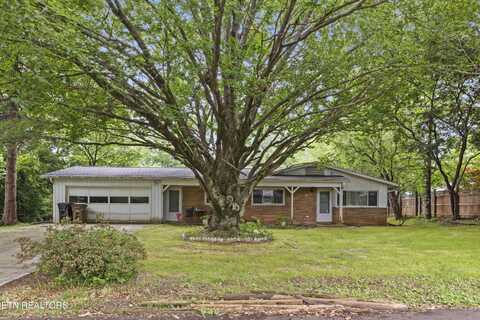 205 Newcastle Rd, Knoxville, TN 37909
