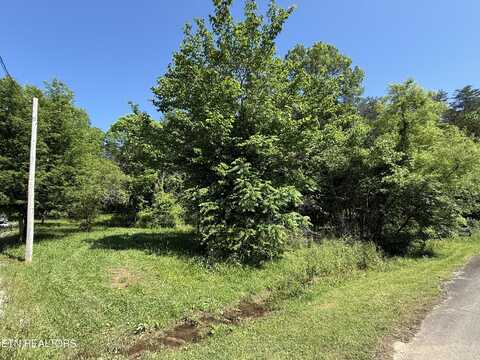 Muddy Lane, Decatur, TN 37322