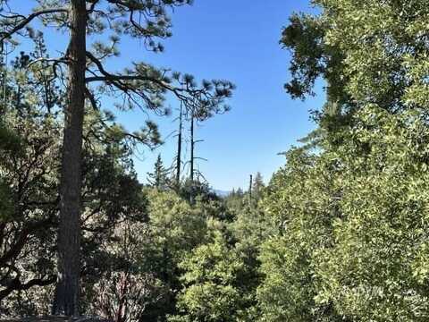 Mountain View, Idyllwild, CA 92549