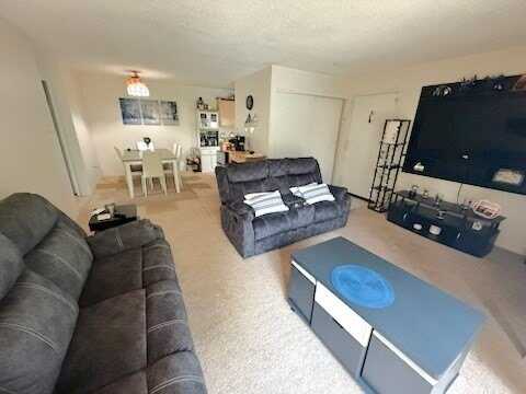 4 Village Green Lane, Natick, MA 01760