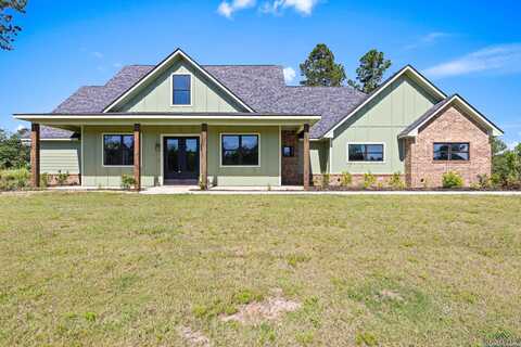225 Eagle Creek Eagle Creek, New Diana, TX 75640