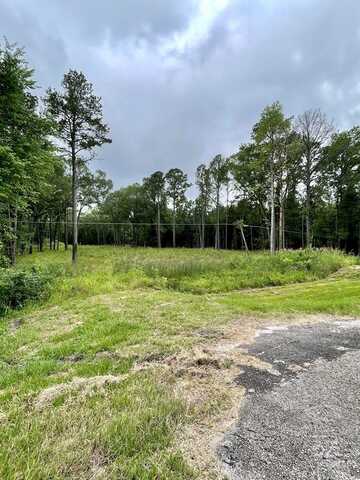 147 E 2nd Street, Corrigan, TX 75939