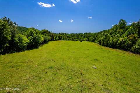 25 Acres McCammon Rd, Knoxville, TN 37920