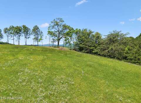 00 Lot 9 & 10 Big Neck Rd, Grandview, TN 37337